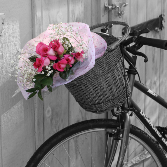 bikerose.jpg
