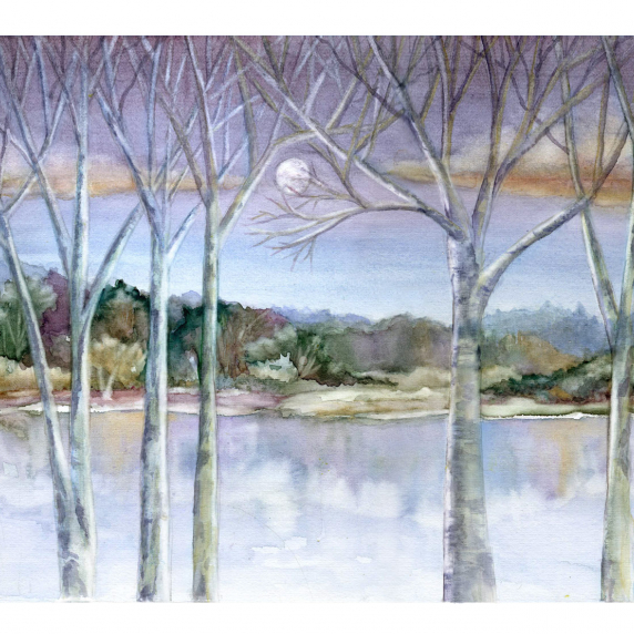 birchtreelake.jpg