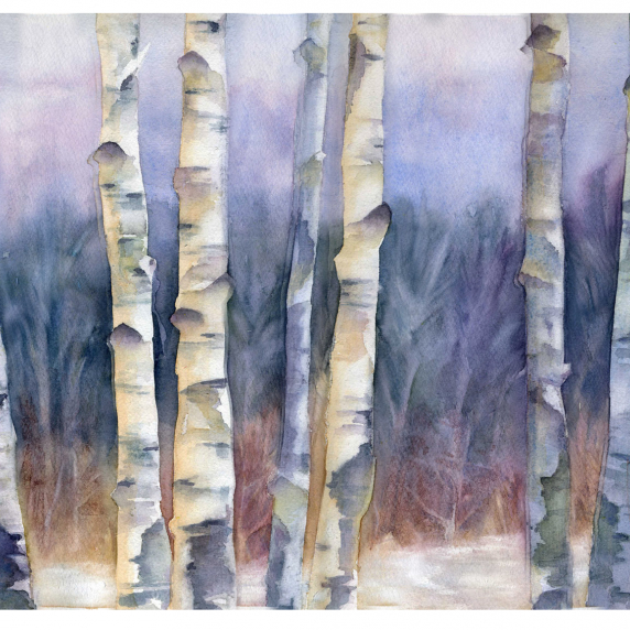 birchtreelake1.jpg