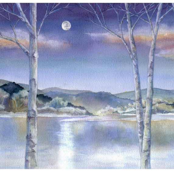 birchtreelake2.jpg
