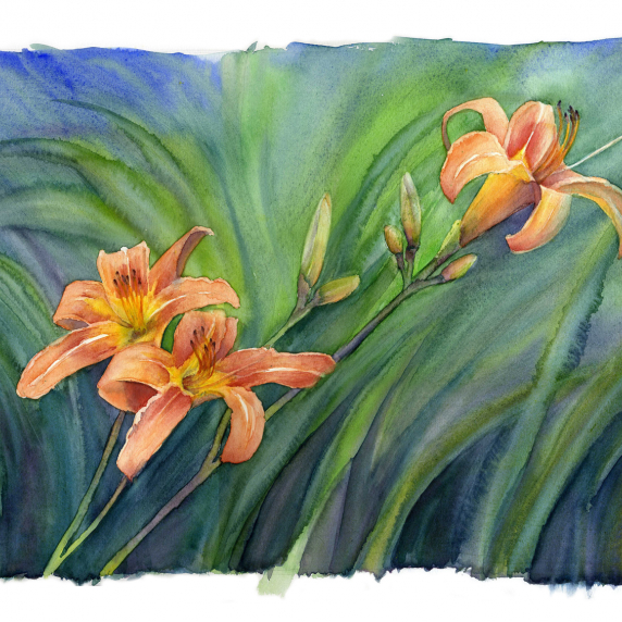 daylillies.jpg