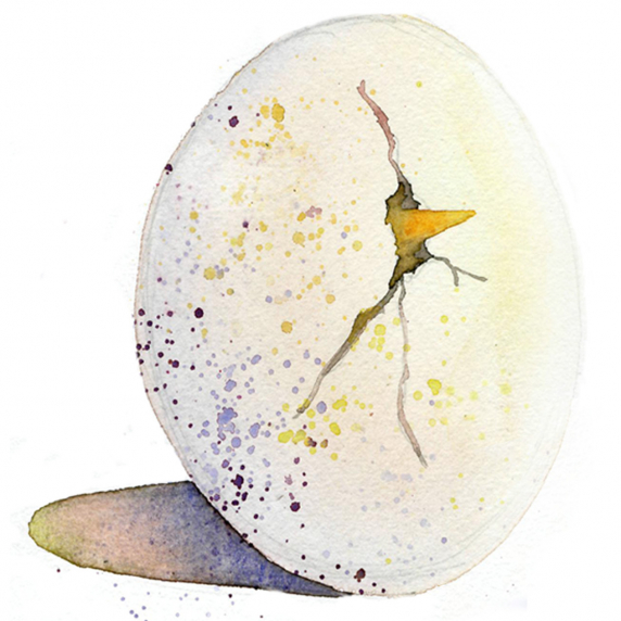eggcrack.jpg