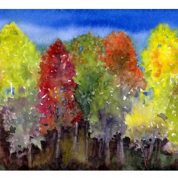 falltrees.jpg