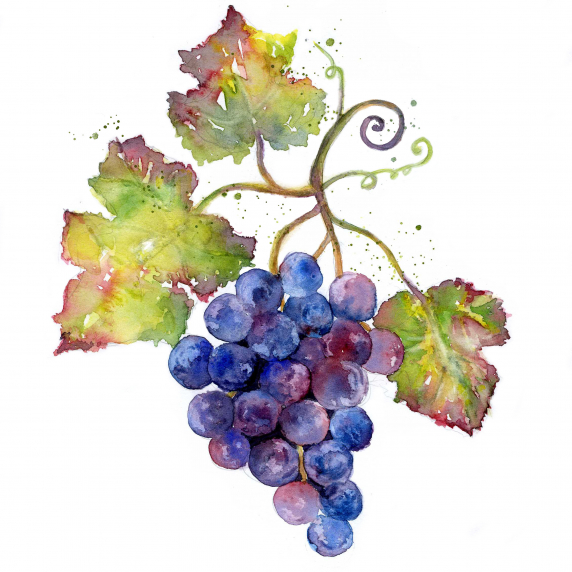 grapes.jpg