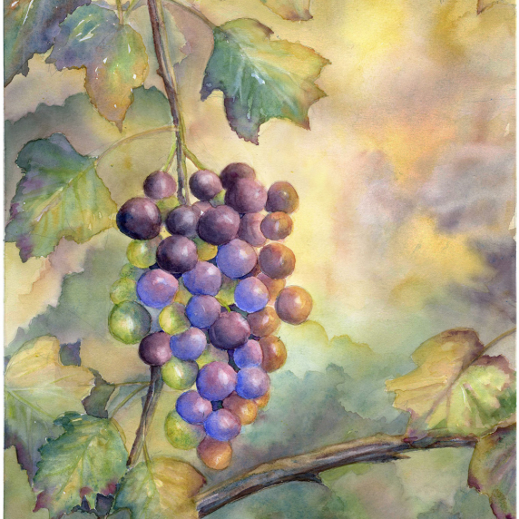 grapes1.jpg