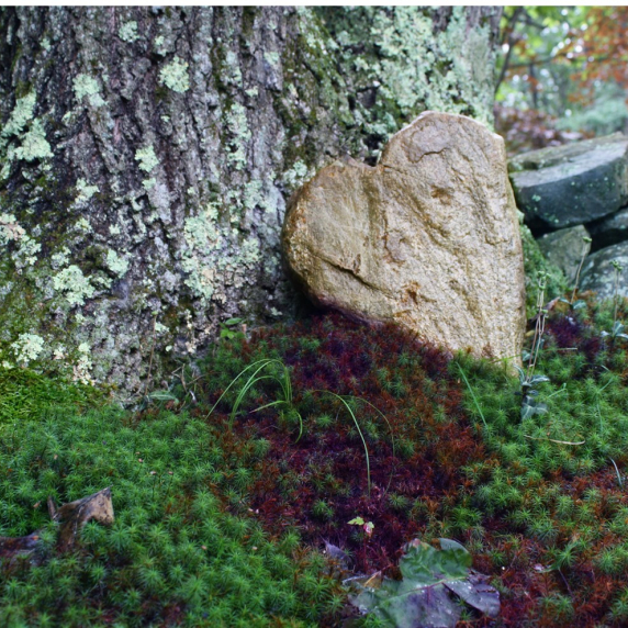 heartrockmoss3.jpg