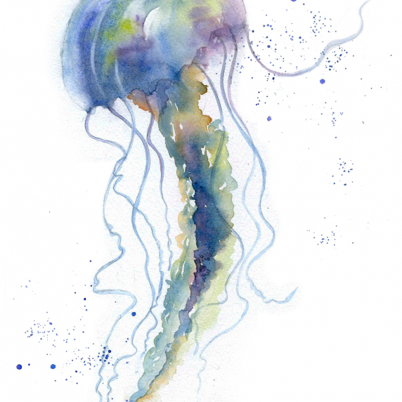 jellyfish.jpg