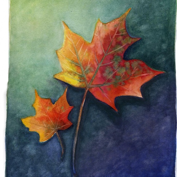 leaves.jpg