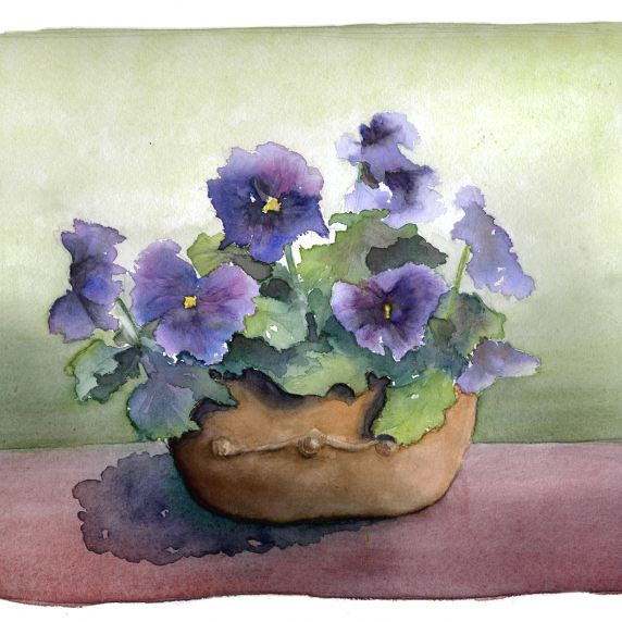 pansies2.jpg