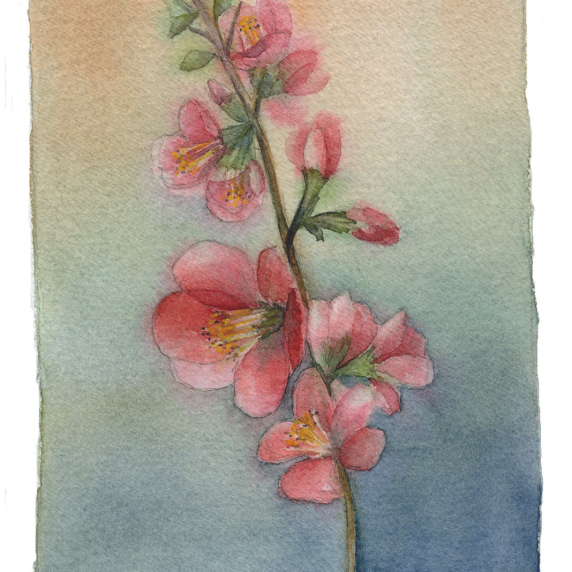 red_flower.jpg