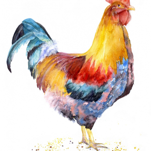 rooster.jpg