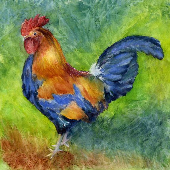 rooster1.jpg