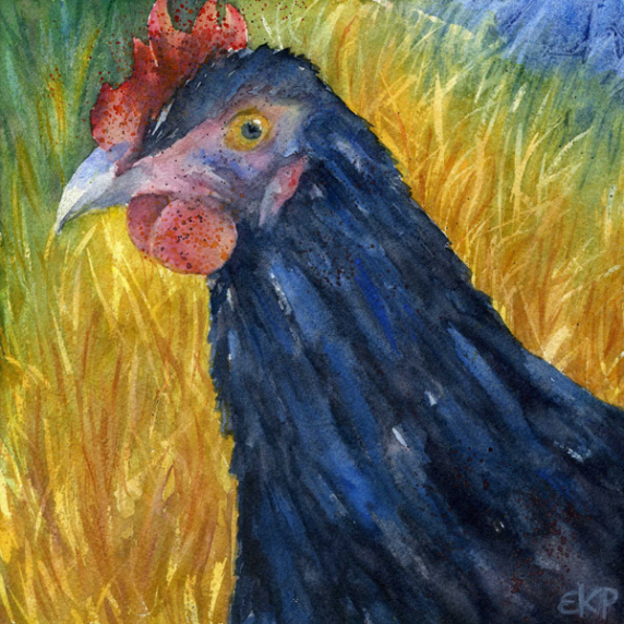 rooster3.jpg