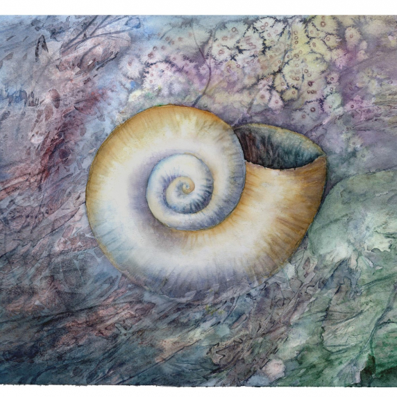 snail.jpg