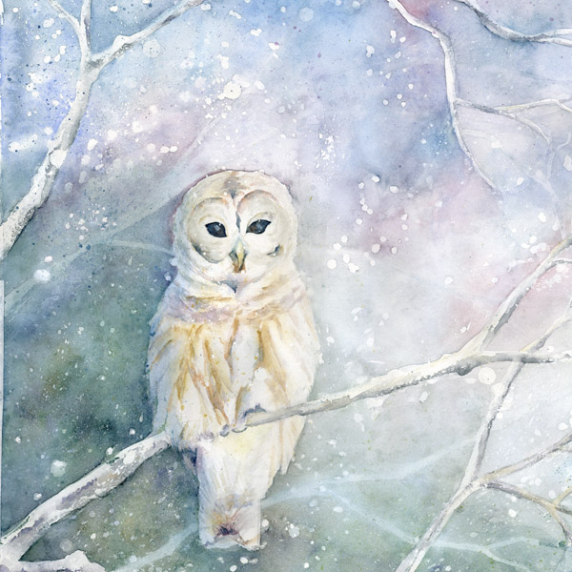 snowowl.jpg