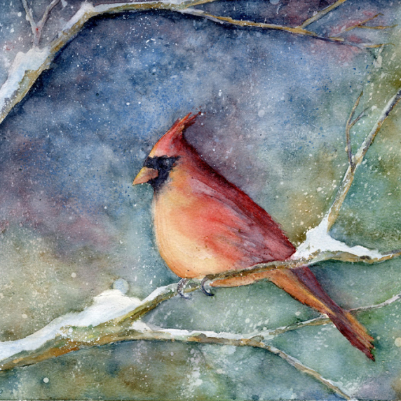 snowycardinal.jpg