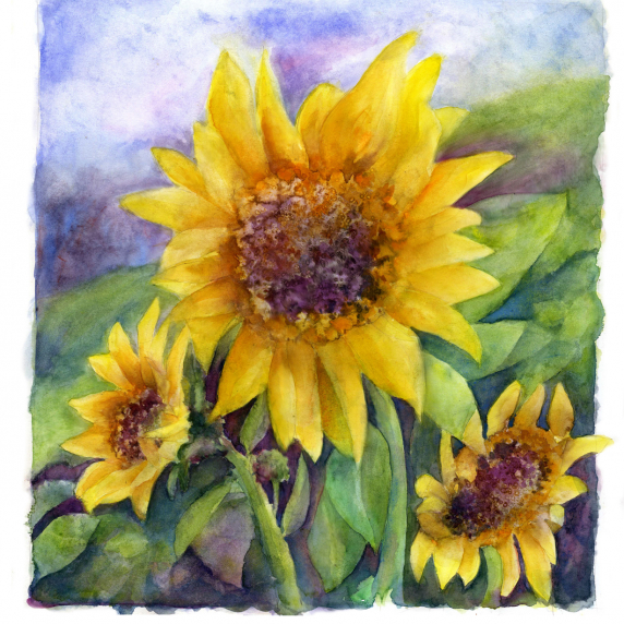 sunflowers1.jpg