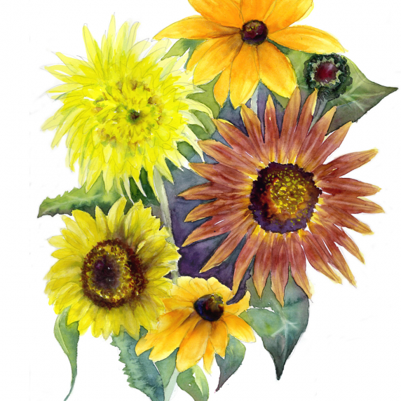 sunflowers.jpg