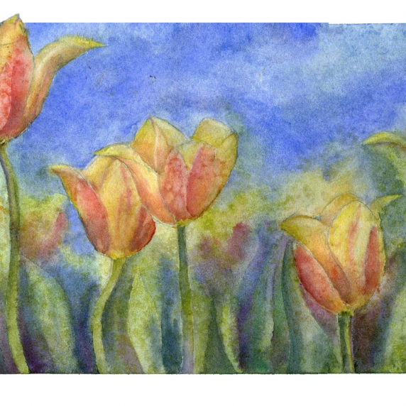 tulips.jpg
