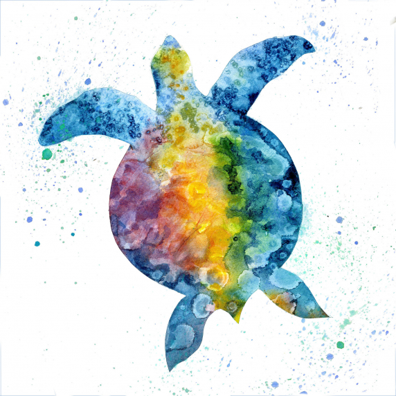 turtle3astone.jpg