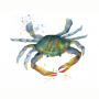 crab.jpg