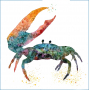 crabby.jpg