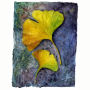 ginkgoleaves.jpg