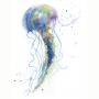 jellyfish.jpg
