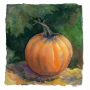 pumpkin1.jpg
