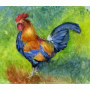 rooster1.jpg