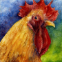 rooster4.jpg