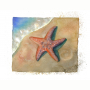 starfish.jpg