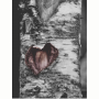 treeheart.jpg